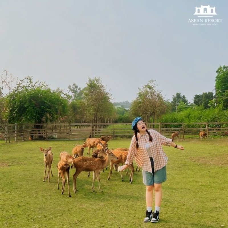 Chữa lành tâm hồn bản thân