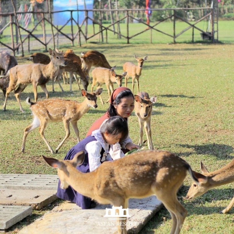 khu nghỉ dưỡng ASEAN