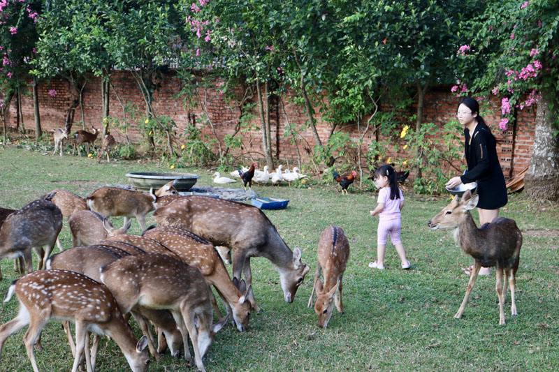 Resort sang xịn và chất lượng dịch vụ tốt nhất tại Hà Nội